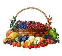 http://menobr.ru/image.ashx?mode=image&maxwidth=400&maxheight=400&id=7119