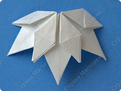 http://stranamasterov.ru/files/imagecache/orig_with_logo2/images/techno/paper/snowdrop/PICT7688.jpg
