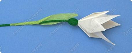 http://stranamasterov.ru/files/imagecache/orig_with_logo2/images/techno/paper/snowdrop/PICT7698.jpg