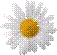 0c08c88ccb07f2238a7d734860366536