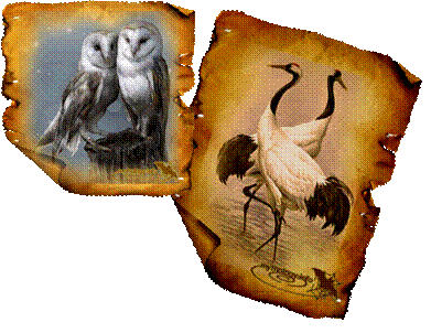 �������,���� - ���.tammara