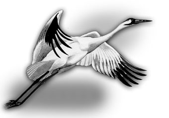 mhtml:file://C:\Documents%20and%20Settings\�������������\�������%20����\23.mht!http://nsc.1september.ru/2007/07/11.jpg