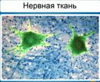 http://d3mlntcv38ck9k.cloudfront.net/content/konspekt_image/42271/333179b0_f61d_0130_8a2d_12313d0128c8.jpg