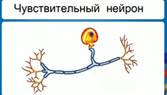 http://d3mlntcv38ck9k.cloudfront.net/content/konspekt_image/42276/36e8e530_f61d_0130_8a32_12313d0128c8.jpg