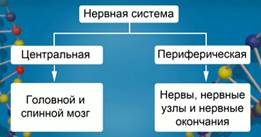 http://d3mlntcv38ck9k.cloudfront.net/content/konspekt_image/42278/396dc2c0_f61d_0130_8a34_12313d0128c8.jpg