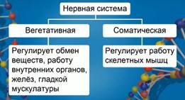 http://d3mlntcv38ck9k.cloudfront.net/content/konspekt_image/42279/3a483690_f61d_0130_8a35_12313d0128c8.jpg
