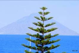 italiaunica-cruisostrovaeolie (7)