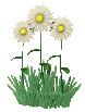 F:\���(����)\105a.gif