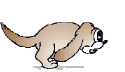 http://komdm.ucoz.ru/_si/0/76948.gif