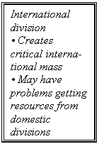 �������: International division

� Creates critical international mass

� May have problems getting resources from domestic divisions






