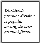 �������: Worldwide product division is popular among diverse product firms.



