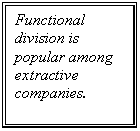 �������: Functional division is popular among extractive companies.



