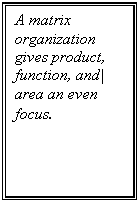 �������: A matrix organization gives product, function, and| area an even focus.