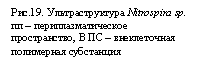 Подпись:
