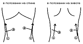 Схема положений датчика при сканировании почек