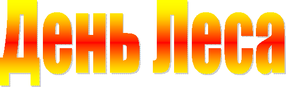 ���� ����