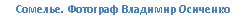 �������: