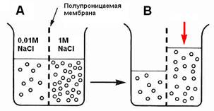 http://do.gendocs.ru/pars_docs/tw_refs/258/257154/257154_html_79f23407.png
