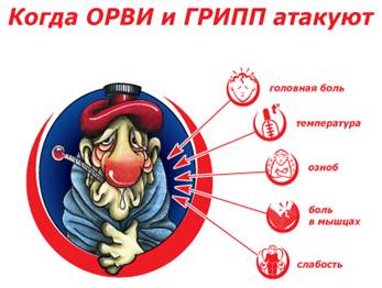 http://test.giantera.ru/i-natur/who%20is-01.jpg