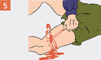 http://rg.ru/i/kniga241210/pomosh005.gif