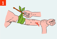 http://rg.ru/i/kniga241210/pomosh044.gif