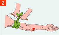 http://rg.ru/i/kniga241210/pomosh045.gif