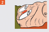 http://rg.ru/i/kniga241210/pomosh048.gif