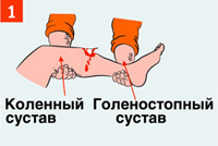 http://rg.ru/i/kniga241210/pomosh066.gif