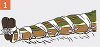 http://rg.ru/i/kniga241210/pomosh115.gif