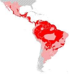 220px-Panthera_onca_distribution