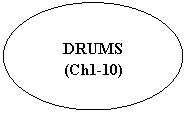 Овал: DRUMS
(Ch1-10)