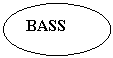 ����: BASS