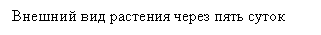 Подпись: