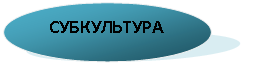 ����: �����������