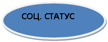 Овал: СОЦ. СТАТУС