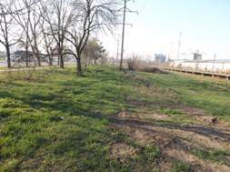 C:\Users\pshenichnaya\Desktop\������ 18\1\1\DSCF1256.JPG