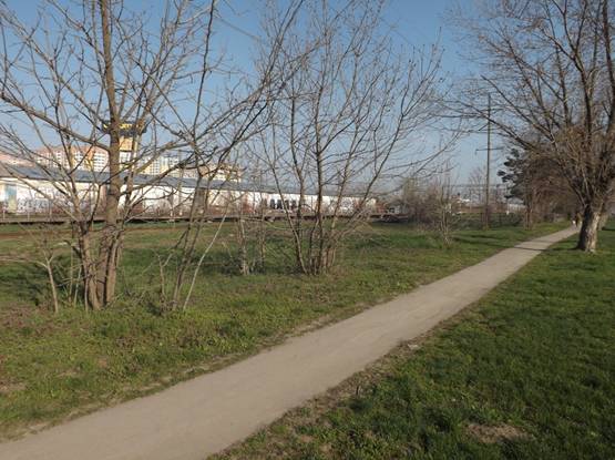 C:\Users\pshenichnaya\Desktop\������ 18\1\1\DSCF1267.JPG