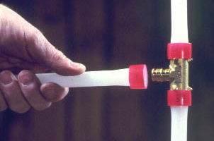 M1050007�.jpg