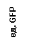 �������: ��. GFP