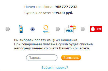��������: http://ishopnew.qiwi.ru/files/images/iframe.jpg