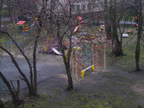 D:\Новый портфель\виды д.с\участок\участок\P1050972.JPG