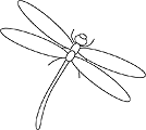dragonfly02.gif
