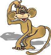http://www.picgifs.com/source/includes/functions/download_image.php?file=clip-art/farm/monkeys/clip-art-monkeys-764775.jpg