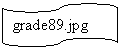 ����-�����: ����������: grade89.jpg