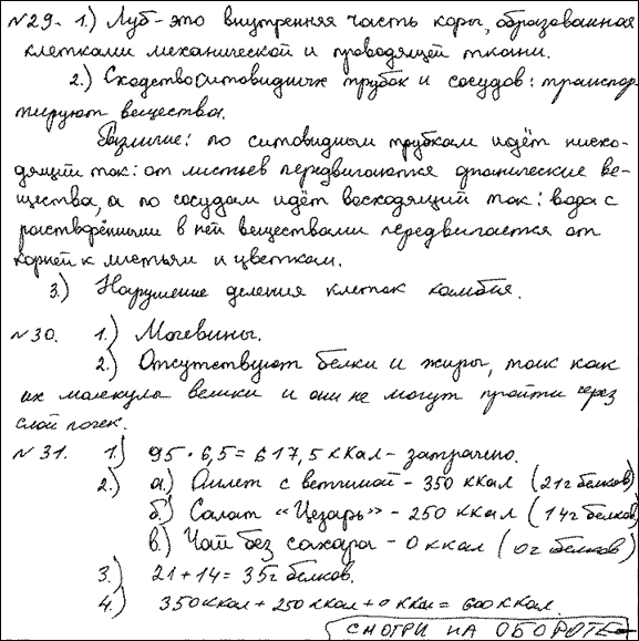 GIA09_RC0005