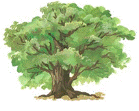 http://4.bp.blogspot.com/_t9pAwPc9CZg/S-oIvrzN2lI/AAAAAAAAAeI/bvrwEoBAkek/s1600/%D0%B4%D1%83%D0%B1.png