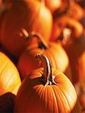 Описание: Описание: D:\Мои документы\Не залазить\тЫКВА\pumpkin1.jpg