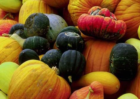 Описание: Описание: D:\Мои документы\Не залазить\тЫКВА\pumpkin_b.jpg