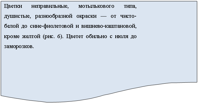 ����-�����: ��������: ������ ������������, ������������ ����, ��������, ������������� ������� � �� �����-����� �� ����-���������� � <a title=