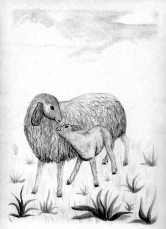 ���.1